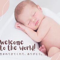 画像1362